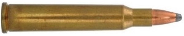 c2303.jpg