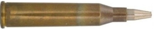 c2305.jpg