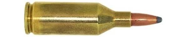 c2451.jpg