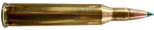 c3026.jpg