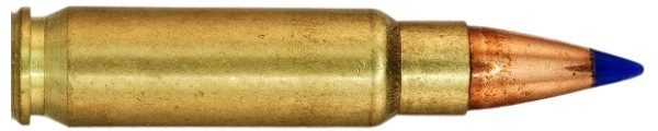 c3570.jpg