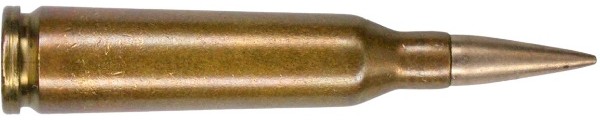c5031.jpg