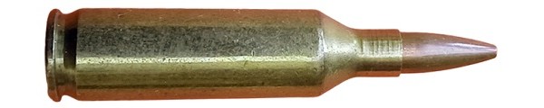 c5082.jpg