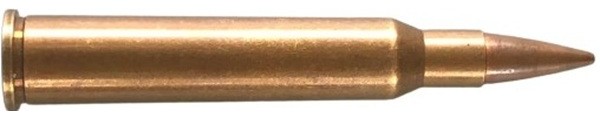 c5159.jpg