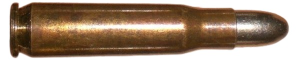 c5645.jpg