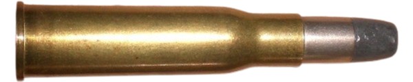 c5646.jpg