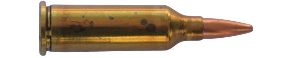 c6198.jpg