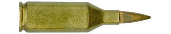 c6484.jpg