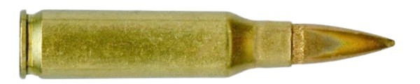 c6485.jpg