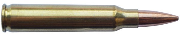 c6684.jpg