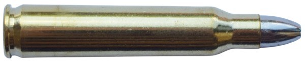 c6685.jpg
