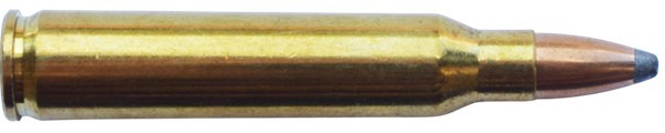 c6686.jpg