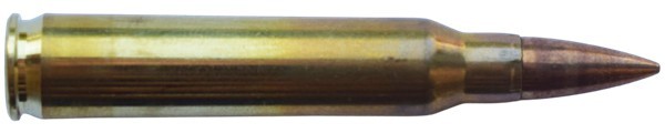 c6689.jpg