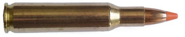 c6847.jpg