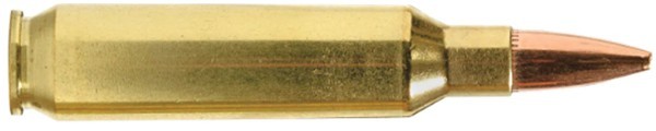 c6894.jpg