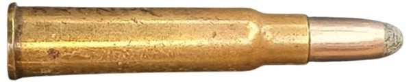 c7312.jpg