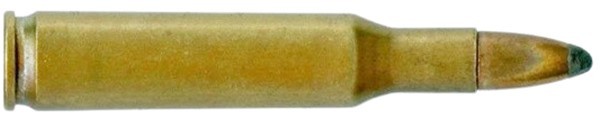 c7644.jpg