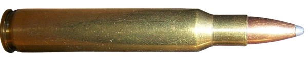 c7874.jpg