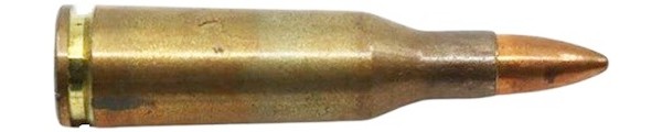 c8083.jpg