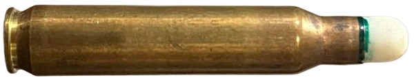 c8155.jpg
