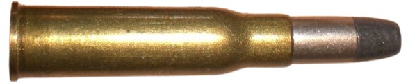 c8199.jpg