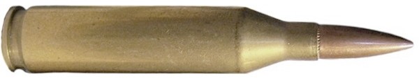 c8231.jpg