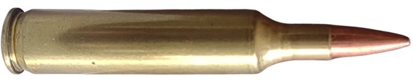 c8260.jpg