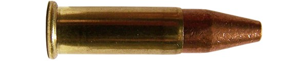 c9098.jpg