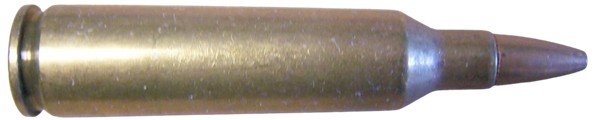c9099.jpg