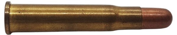 c9196.jpg
