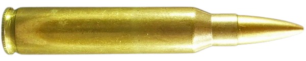 c9423.jpg