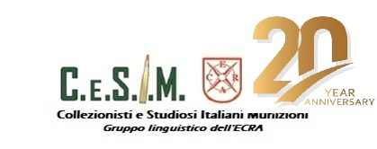 CeSIM Logo